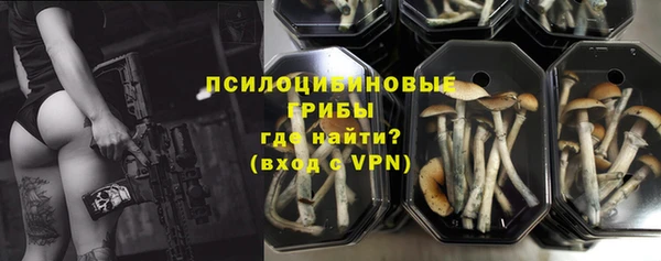 спиды Карталы