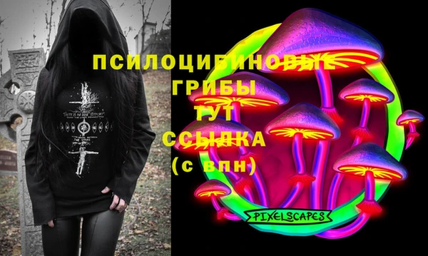 спиды Карталы