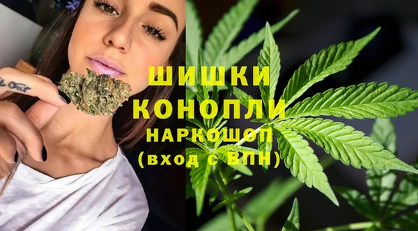 спиды Карталы