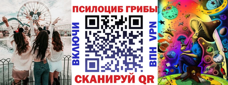 Псилоцибиновые грибы Psilocybe  Купить закладки  Мостовской 