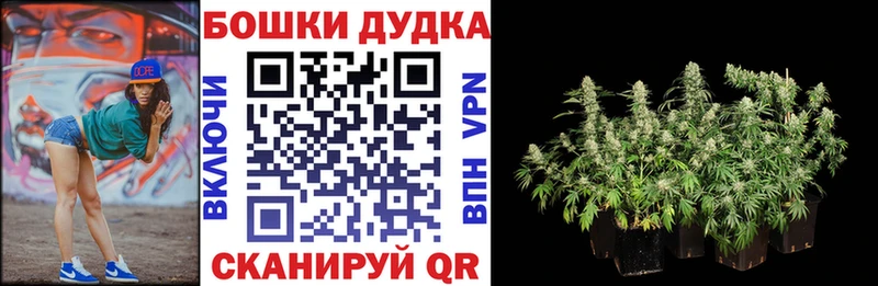 Купить где  Мостовской  Конопля тримм 
